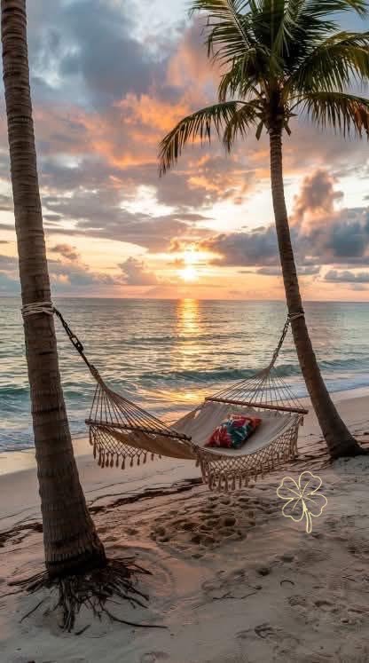 Relax