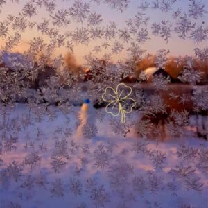 De schoonheid van de winter